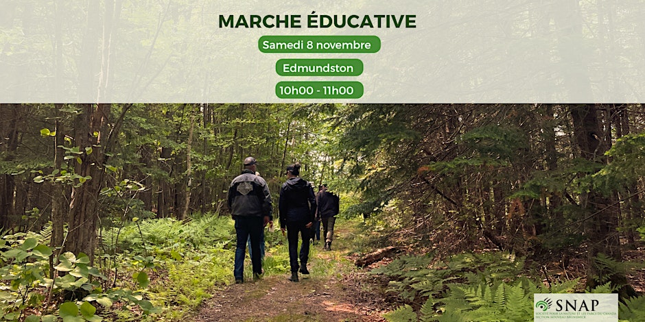 Walk and Talk with CPAWS NB